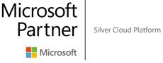 microsoft partner silver