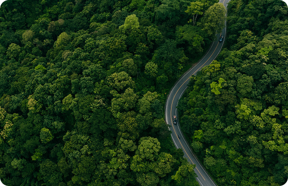 Sustainability
