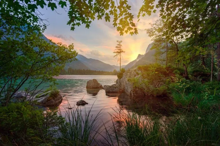 Environmental