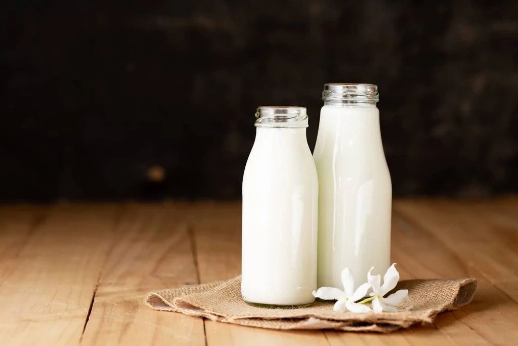 A2 Milk