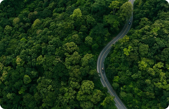 Sustainability