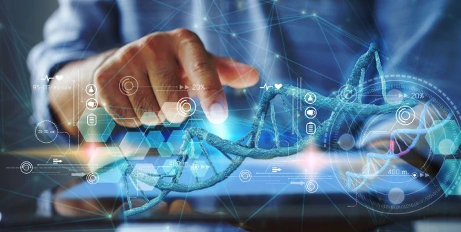 Life Sciences Organization Improves Oracle HCM Support Cycle by 50%